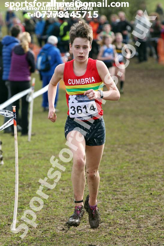 Girls under-15s, 2020 British Athletics Inter Counties Cross Country Champs., Prestwold Hall, Loughborough. Photo: David T. Hewitson/Sports for All Pics